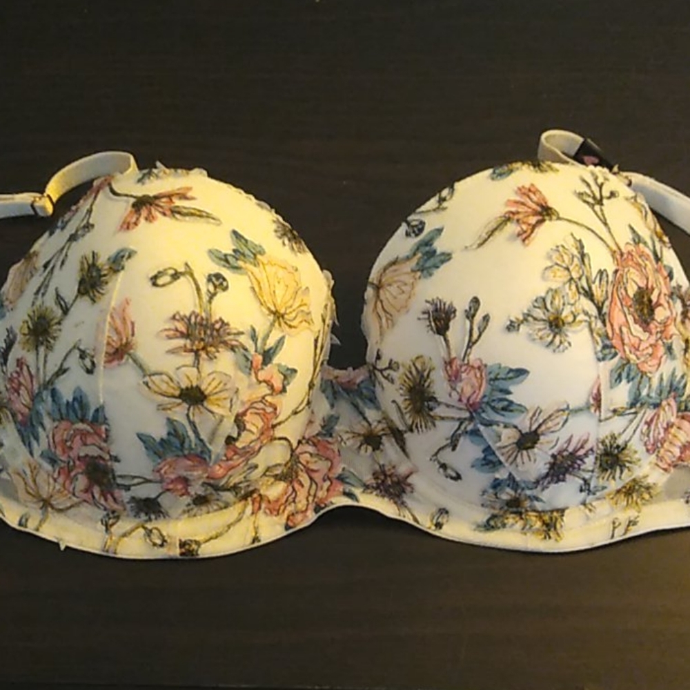 NWT VS Bra